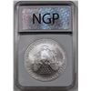 Image 2 : 2007-W BURNISHED AMERICAN SILVER EAGLE NGP