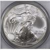 Image 2 : 2010 AMERICAN SILVER EAGLE