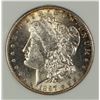 Image 2 : 1897-S MORGAN SILVER DOLLAR CCGS