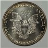 Image 3 : 1992 AMERICAN SILVER EAGLE NGP