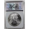 Image 4 : 1993 AMERICAN SILVER EAGLE NGP