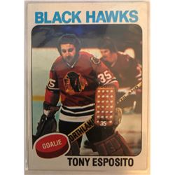 1975-76 Topps Tony Esposito #240