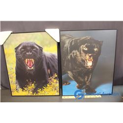 2 Panther Pictures W/ Light-up Eyes