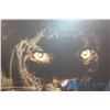 Image 2 : 2 Panther Pictures W/ Light-up Eyes