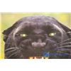Image 3 : 2 Panther Pictures W/ Light-up Eyes
