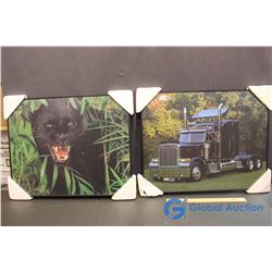 Semi & Panther Pictures W/Lights!