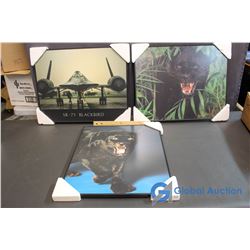 2 Panther Pictures w/ Lights & SR-71 Blackbird Air Craft Picture w/Lights