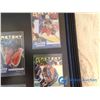 Image 3 : Framed Gretzky Performance Record Cards