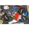 Image 2 : Lot of Keychains
