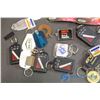 Image 3 : Lot of Keychains
