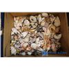 Image 2 : Lot of Sea Shells & Starfish