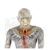 Image 2 : The Strain - Ancient Creature Costume