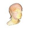 Image 2 : The Strain - Actor Lifecast & Makeup for Strigoi character