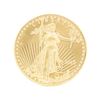 Image 1 : 2013 US$50 Standing Liberty Gold Coin