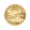 Image 2 : 2013 US$50 Standing Liberty Gold Coin