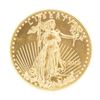 Image 1 : 2013 US$50 Standing Liberty Gold Coin