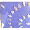Image 8 : Collection of Alabates Bird Points