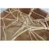 Image 8 : Plains Indian Drum