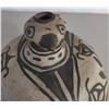 Image 8 : Cochiti Duck Effigy Pitcher