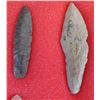 Image 8 : Paleo Point Collection