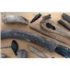 Image 4 : Authentic Artifact Collection