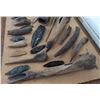 Image 8 : Authentic Artifact Collection