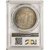 Image 2 : 1900 $1 Morgan Silver Dollar Coin PCGS MS63 CAC AMAZING TONING