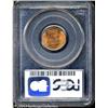Image 2 : 1955-D 1C MS66 Red PCGS. Superb surfaces with even 1955-D 1C MS66 Red PCGS.