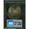 Image 2 : 1878-CC S$1 MS64 PCGS. Fully struck with medium-da 1878-CC S$1 MS64 PCGS.