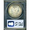 Image 4 : 1879-CC S$1 MS65 PCGS. The 1879-CC does not appear 1879-CC S$1 MS65 PCGS.