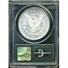 Image 2 : 1881 S$1 MS64 Deep Mirror Prooflike PCGS. An impre 1881 S$1 MS64 Deep Mirror Prooflike PCGS.