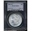 Image 1 : 1881-CC S$1 MS64 PCGS. This crisply struck Carson 1881-CC S$1 MS64 PCGS.