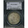 Image 1 : 1882 S$1 MS65 PCGS. Low intensity multicolored ton 1882 S$1 MS65 PCGS.
