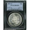 Image 1 : 1883-CC S$1 MS65 Prooflike PCGS. An intricately st 1883-CC S$1 MS65 Prooflike PCGS.