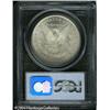 Image 2 : 1884 S$1 MS66 PCGS. Wisps of tan-gray color embrac 1884 S$1 MS66 PCGS.