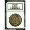 Image 1 : 1885-S S$1 MS64 NGC. Gorgeously toned in orange, l 1885-S S$1 MS64 NGC.