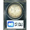 Image 2 : 1889-O S$1 MS64 PCGS. Typically soft over the cent 1889-O S$1 MS64 PCGS.
