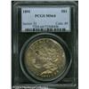 Image 1 : 1891 S$1 MS64 PCGS. Well struck with a bright, bri 1891 S$1 MS64 PCGS.