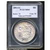 Image 1 : 1891-CC S$1 MS64 PCGS. VAM-6. Delicate rose and ol 1891-CC S$1 MS64 PCGS.