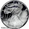 Image 1 : 1995-W S$1 Silver Eagle PR69 Deep Cameo PCGS. Only 1995-W S$1 Silver Eagle PR69 Deep Cameo PCGS.