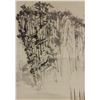 Image 3 : Yang Taiyang 1909-2009 Chinese Watercolour Paper