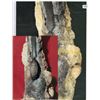 Image 2 : Encrusted pistol with "dogface" butt, from an unidentified 1500s Yucatan wreck.
