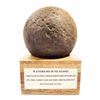 Image 1 : French twelve-pounder solid shot recovered from the field of Waterloo, 1815.