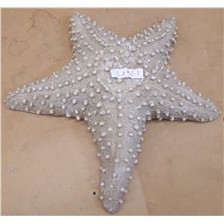 STARFISH STATUE