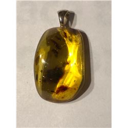 Extremely Rare 1 Million Year Old AMBER with INSECTS inside Pendant from Columbia 5.7 grams