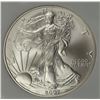Image 2 : 2007-W AMERICAN SILVER EAGLE BURNISHED