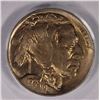 Image 2 : 1928-D BUFFALO NICKEL PCGS MS64