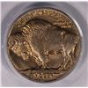 Image 3 : 1928-D BUFFALO NICKEL PCGS MS64