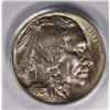 Image 2 : 1913 TYPE 1BUFFALO NICKEL PCGS MS65