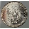 Image 3 : 1993 AMERICAN SILVER EAGLE NGP